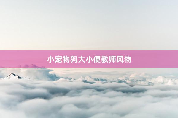 小宠物狗大小便教师风物